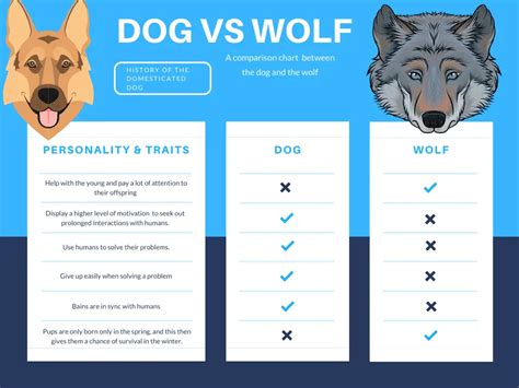 Where Do Dogs Come From? (Theories Of Domestication) - Dog Friendly Scene