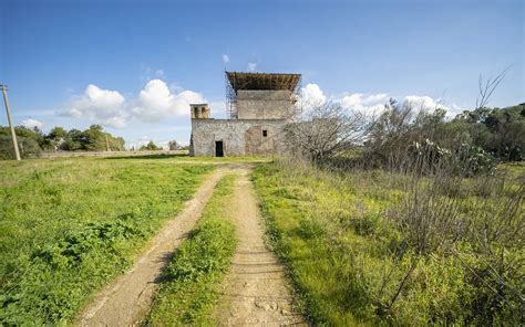 Giornate Fai Di Primavera Cosa Vedere Nelle Marche Sky Tg