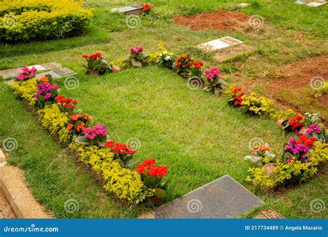 Detalle De Una Tumba Con Hierba Y Flores Imagen De Archivo Imagen De