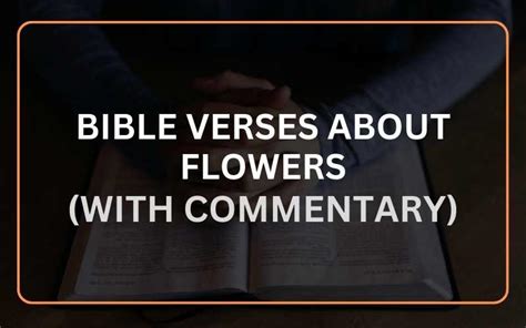 Important Bible Verses About Flowers With Commentary Scripture Savvy