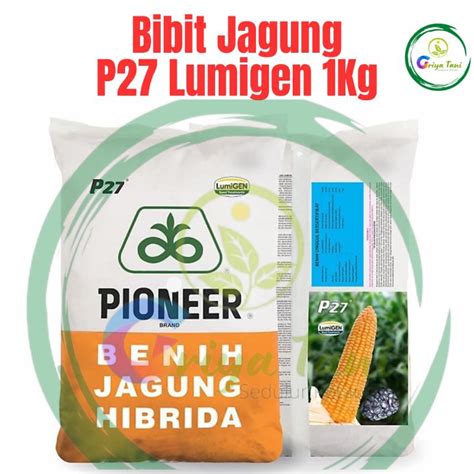 Jual Pioneer Benih Jagung Hibrida P27 Lumigen Isi 1Kg Shopee