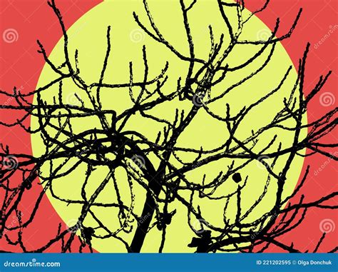 Naked Tree Branches At Sunset Stock Illustration Illustration Of Naked Pink