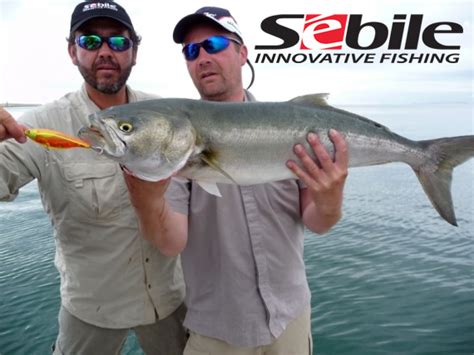 Воблеры Sebile