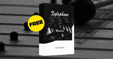 Free Xylophone Sample Library For Kontakt By Muze