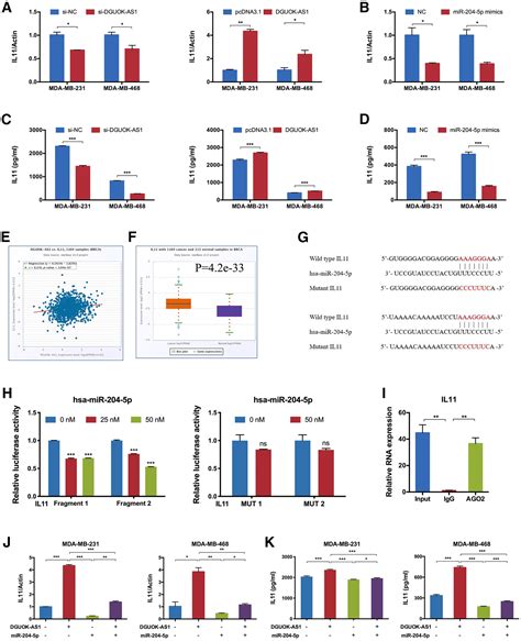 Dguok As Acts As A Tumor Promoter Through Regulating Mir P Il