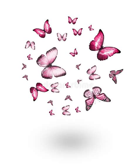 Flock Of Flying Butterflies Isolated Stock Illustration Illustration