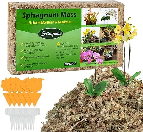 Amazon Qt Sphagnum Moss Orchid Moss For Potted Plants Sphagnum