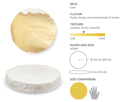 Brie De Melun Local Cheese From Melun France