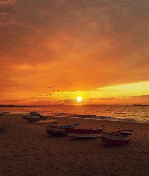 Several Boats On The Beach At Sunset With Birds Flying In The Sky Above