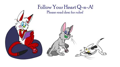 Follow Your Heart Qna Closed Read Rules By Night The Kitten On