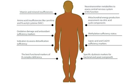 Organic Acid Test OAT - 2 Nourish Nutrition, Wellness & Healing