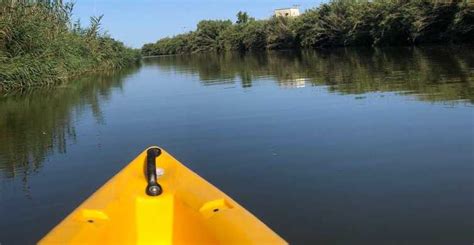 Desde Deltebre Excursión en bici y kayak por el Delta del Ebro y la