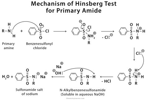 Hinsberg Test