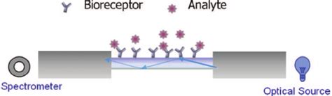 Schematic Of Sensing Protocol For Evanescent Wave Absorbance