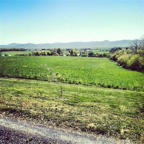 CrossKeys Vineyards | Vineyard, Scenic views, Picnic menu