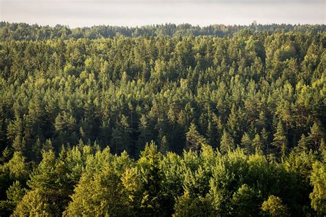 Vyriausybė inicijuoja naujo Suvalkijos nacionalinio parko steigimą LRT