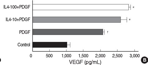 Figure 1 From The Effect Of Interleukin 4 And Amphiregulin On The