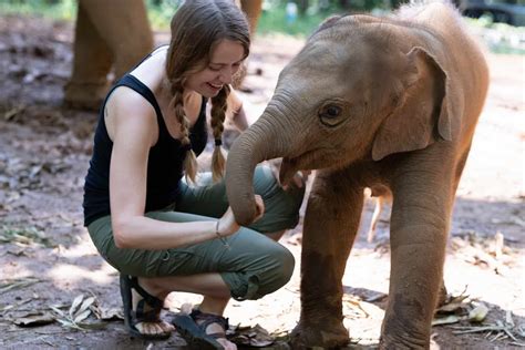 Thailand – The Elephant Experience - Volunteer Vacations | Discover Corps