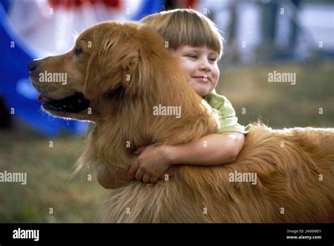 JAKE D. SMITH, AIR BUD: SPIKES BACK, 2003 Stock Photo - Alamy