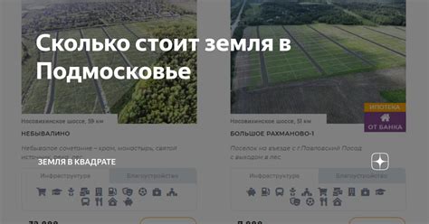 Сколько стоит земля в Подмосковье | Земля в квадрате | Дзен