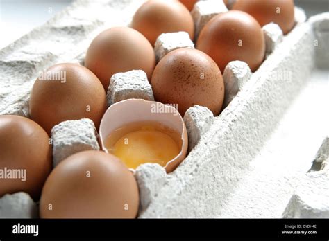 Egg Carton Hi Res Stock Photography And Images Alamy