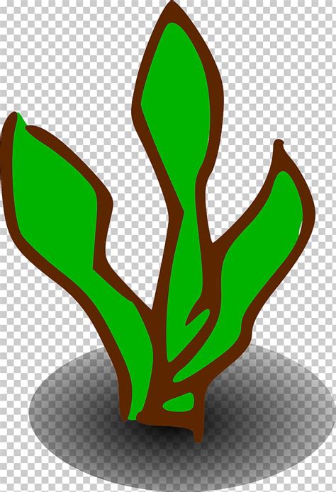 Free Sea Plants Cliparts, Download Free Sea Plants Cliparts png images, Free ClipArts on Clipart ...