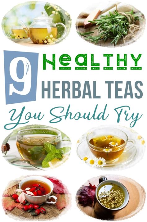 9 Healthy Herbal Teas You Should Try