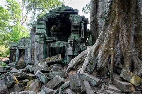 Ta Prohm Temple Ruins: Famous Angkor Wat Tree (Cambodia)