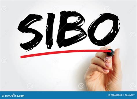 Sibo Small Intestinal Bacterial Overgrowth Is An Imbalance Of The