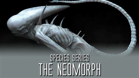 The Neomorph - Species Series - YouTube