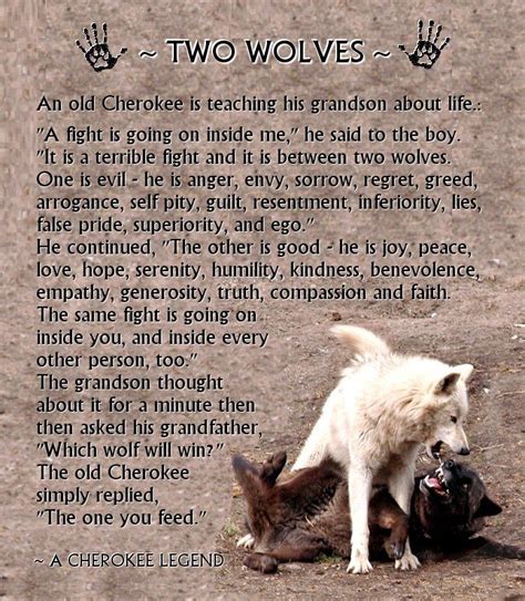 ~the Wolf That Wins Is The Wolf You Feed~ Two Wolves Wolf Sayings Wolf