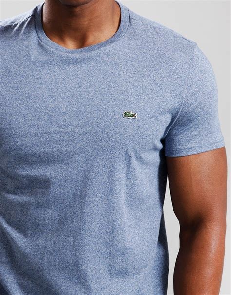 Lacoste Pima Cotton T Shirt Indigo Blue Terraces Menswear