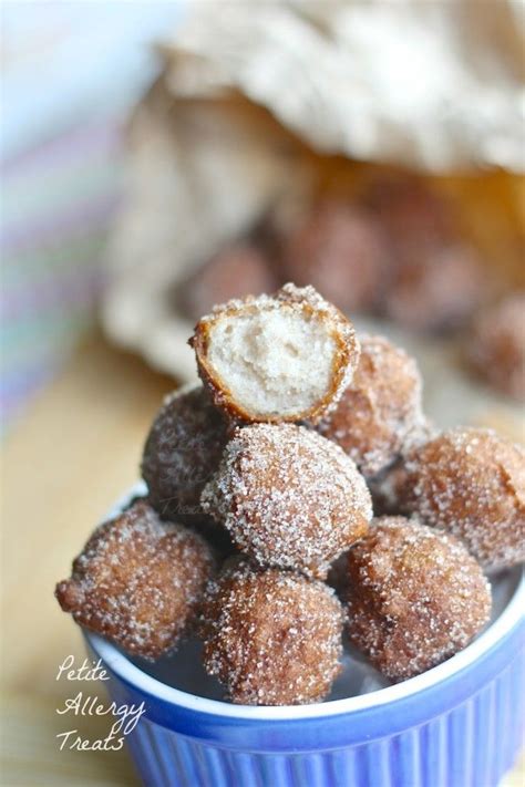 Gluten Free Fried Donut Holes Vegan Dairy Free Soy Free Petite