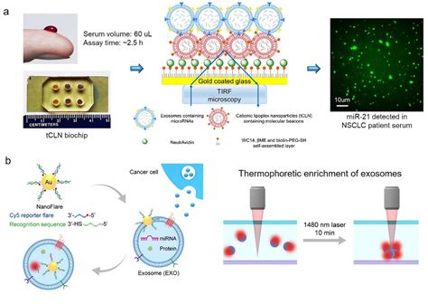 Figure 2 From Recent Advances In Nanotechnology Enabled Biosensors For Detection Of Exosomes As