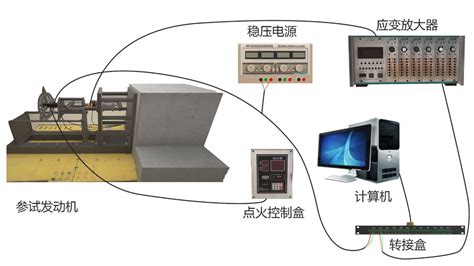 实验详情