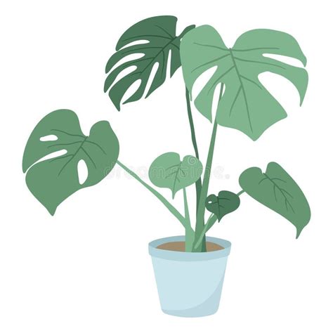 Vector Isolated Illustration On White Background Cartoon House Plant