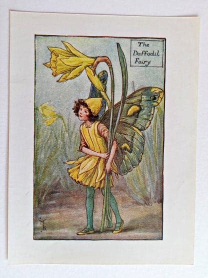 Daffodil Vintage Fairy Print Flower Fairy Prints