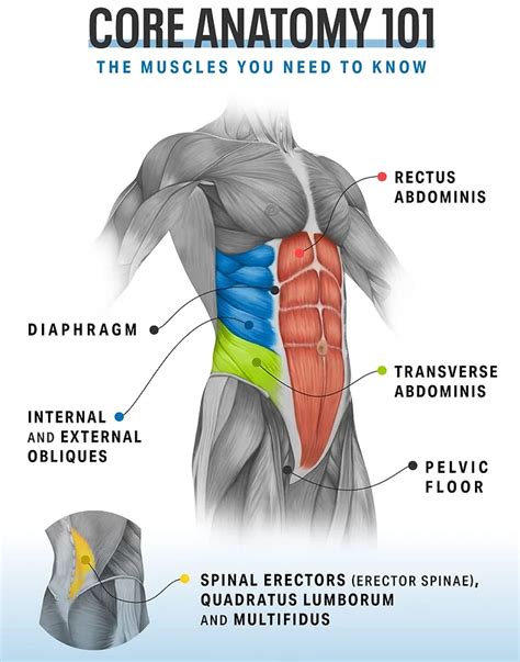 Do You Suffer From Low Back Pain It Can Be Effectively Treated With 3