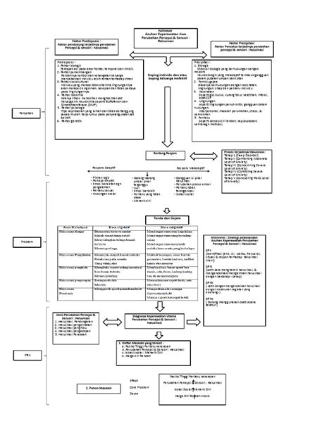 Pathway Lp Halusinasi Pdf