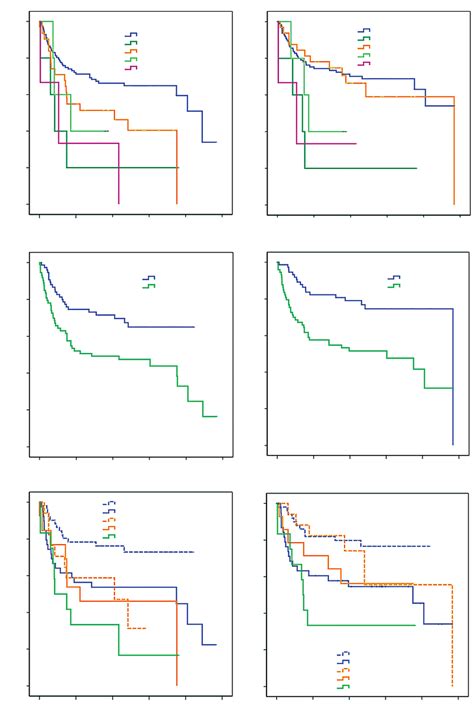 Kaplan Meier Analysis Of De Novo Dlbcl Patients Treated With