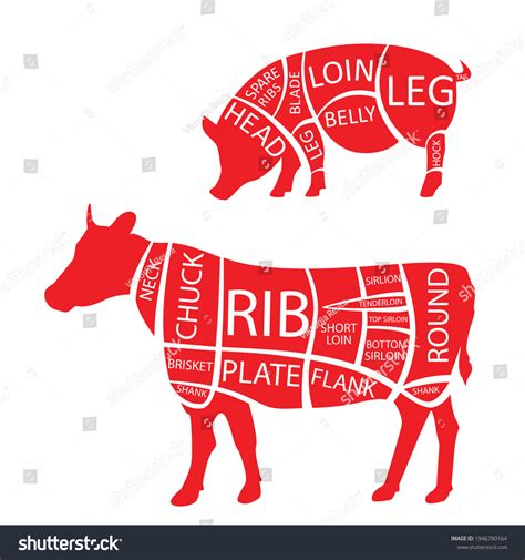 Vector Illustration Cow Pork Cuts Diagramm Stock Vector Royalty Free