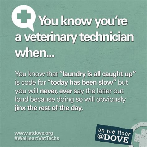 You Know Youre A Veterinary Technician When Veterinary World