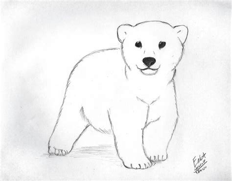 Polar Bear Cub By Hauru Polar Bear Art Bear Art Bear Sketch