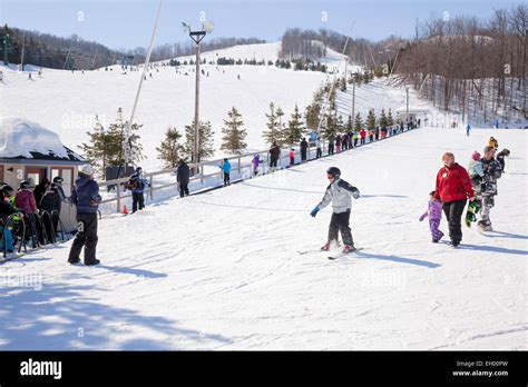 Beginner Hill At Alpine Ski Resort Collingwood Big Blue Ontario S