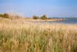 Un Giorni In Camargue E Alla Saline De Giraud Cosa Vedere