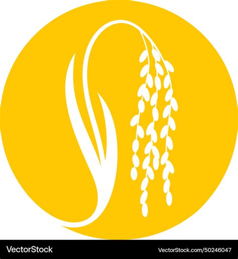 Rice Royalty Free Vector Image Vectorstock