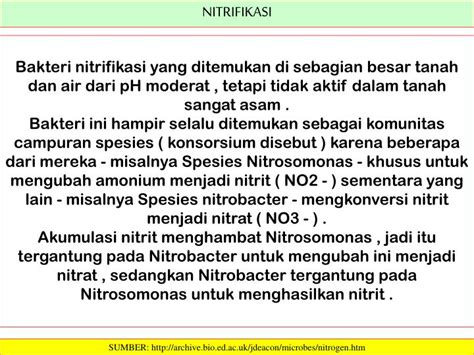 Ppt Siklus Nitrogen Fiksasi Nitrogen Nitrogen Is An Important