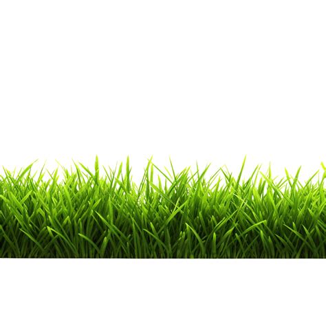 Ai Generated Green Grass Field Clip Art 40218687 Png