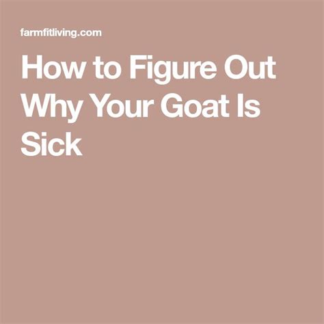 How To Figure Out Why Your Goat Is Sick Goats Sick Figures