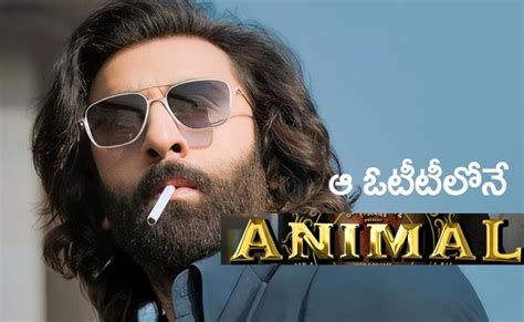 యానిమల్ ఓటీటీ పార్ట్‌నర్ ఫిక్స్ స్ట్రీమింగ్ అందులోనే Animal Movie